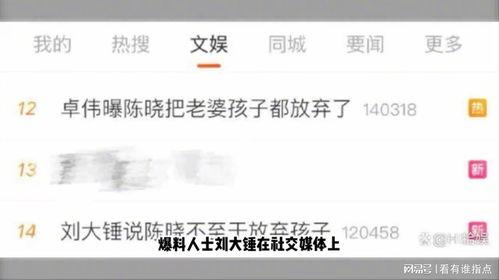 刘大锤爆料女星视频大全,女星视频大全揭秘娱乐圈幕后真相  第1张