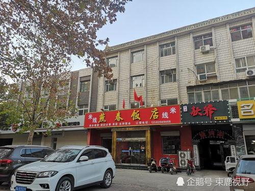 石家庄菜价最新爆料,市民餐桌成本变化揭秘  第1张